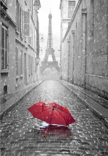 Romantic Paris Street View Canvas Print