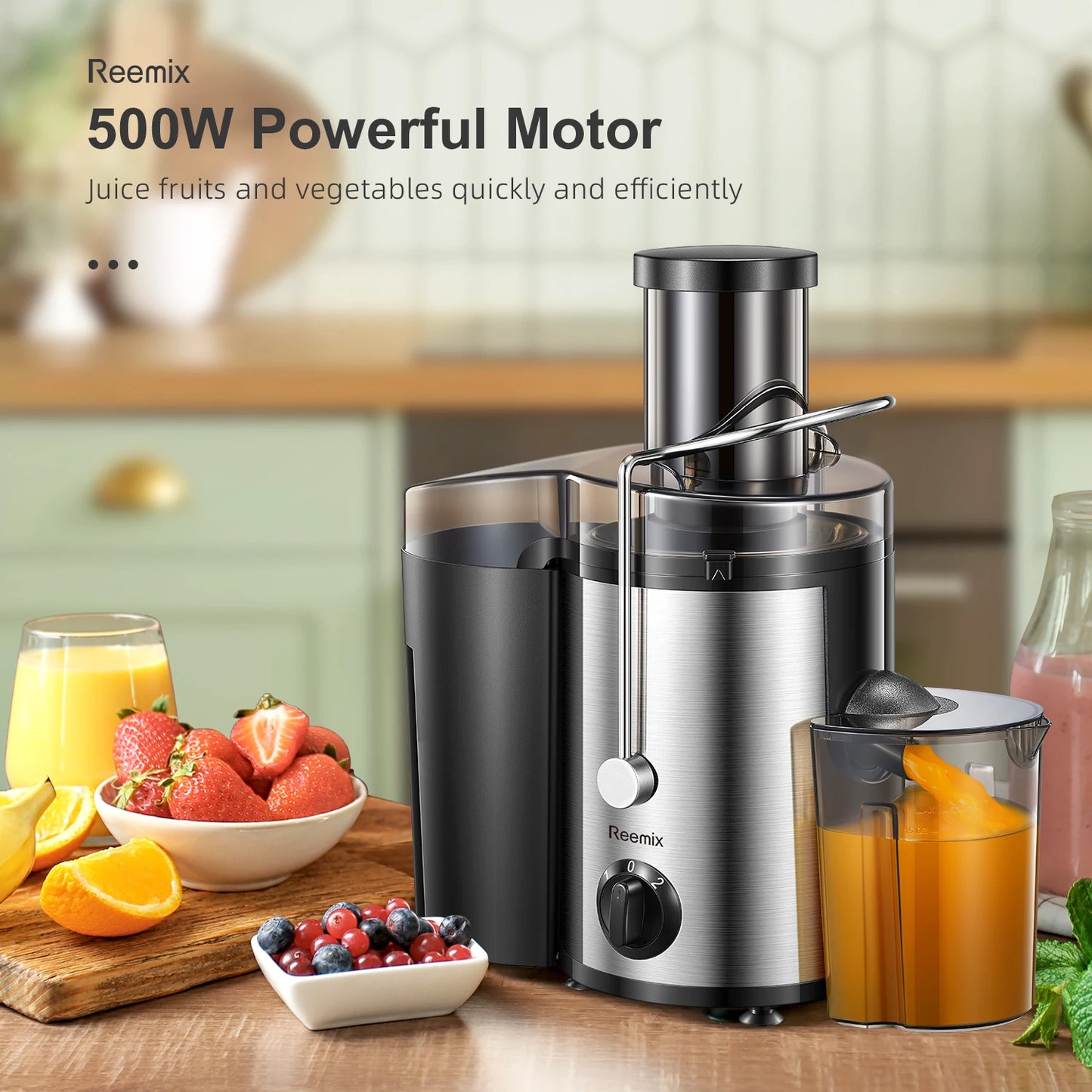 Reemix Fruit and Vegetable Juicer