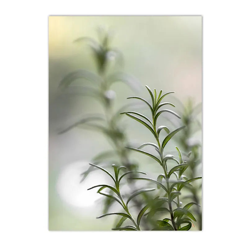 botanical canvas with succulents cactus and green leaves