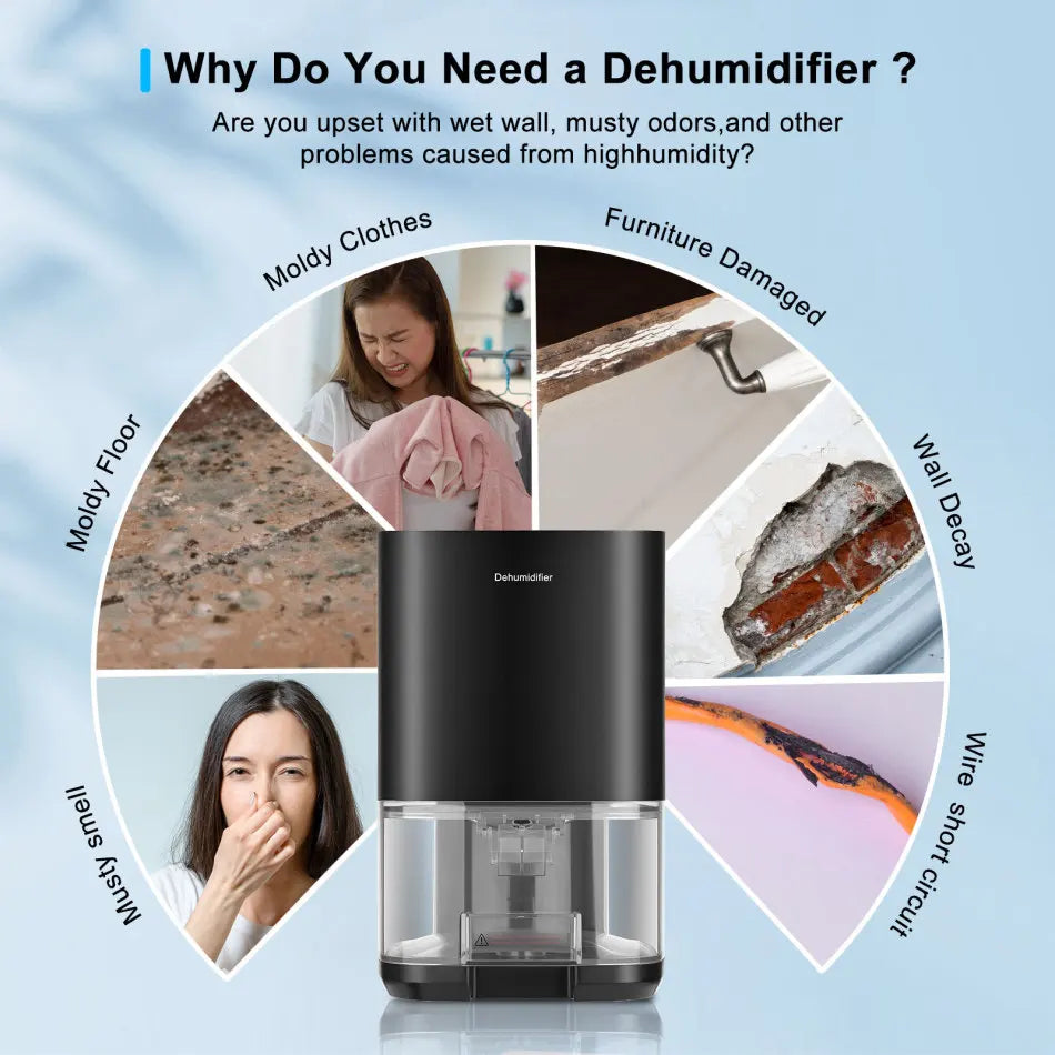 Air Dehumidifier Portable