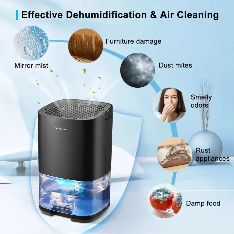Air Dehumidifier Portable