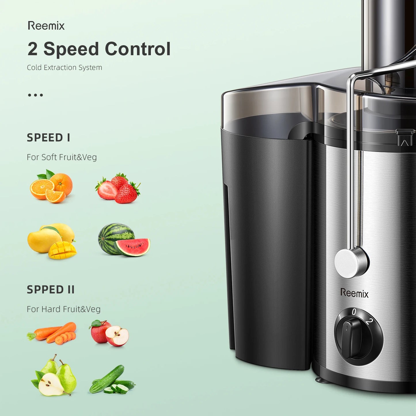 Reemix Fruit and Vegetable Juicer
