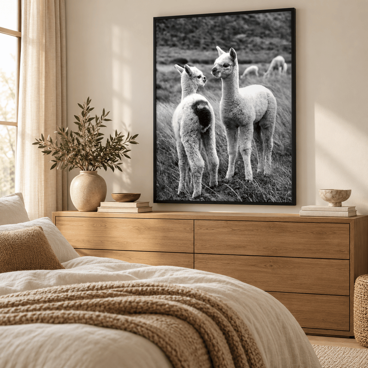 Alpaca Companions Canvas Print