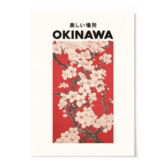 Japanese Okinawa Cherry Blossoms Canvas Print