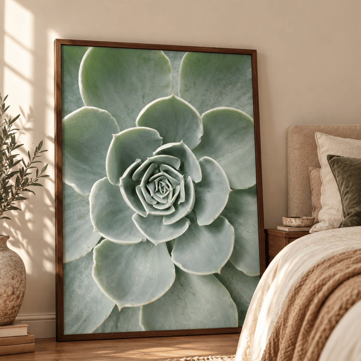 Silver Rosette Succulent Canvas Print
