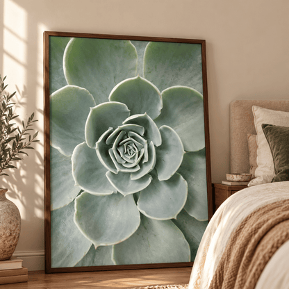 Silver Rosette Succulent Canvas Print