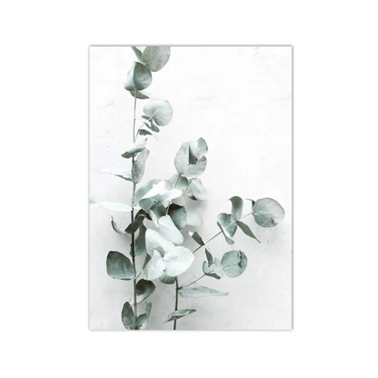 Silver Eucalyptus Stems Canvas Print