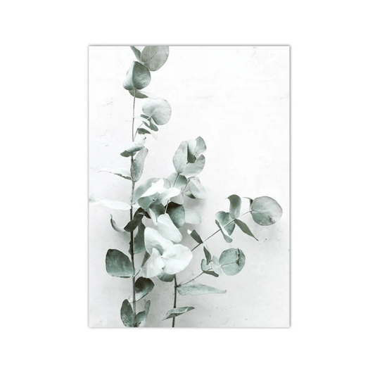 Silver Eucalyptus Stems Canvas Print