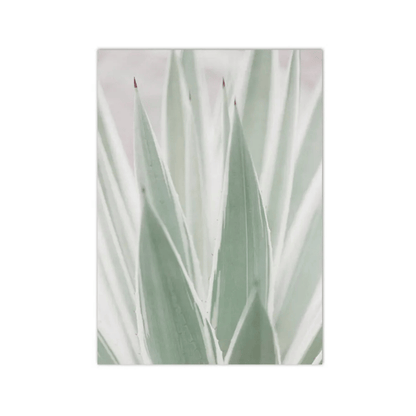 Frosted Agave Blades Canvas Print
