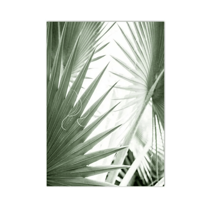 Sage Palm Veil Canvas Print