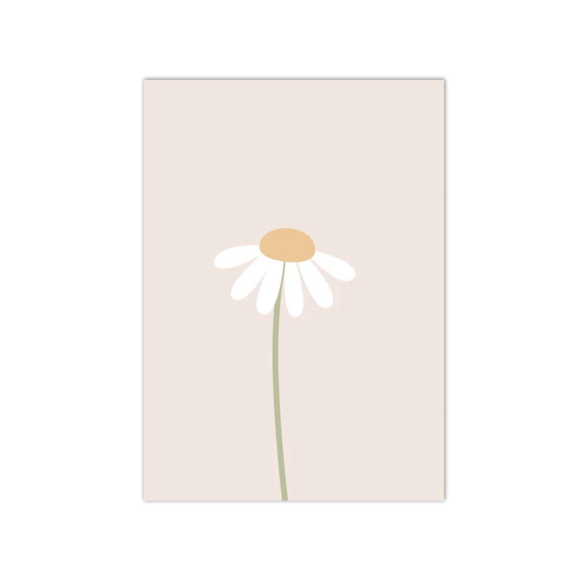 Soft Daisy Stem Canvas Print