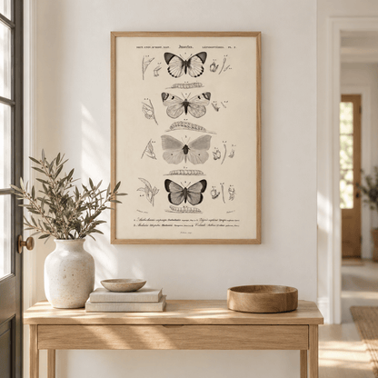 Vintage Butterfly Specimen Canvas Print
