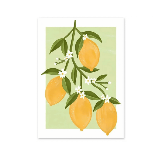Lemon Blossom Branch Canvas Print