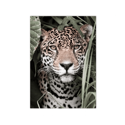 Jungle Stare Jaguar Canvas Print