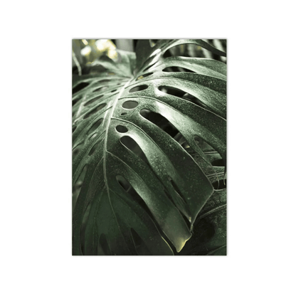 Monstera Vein Study Canvas Print