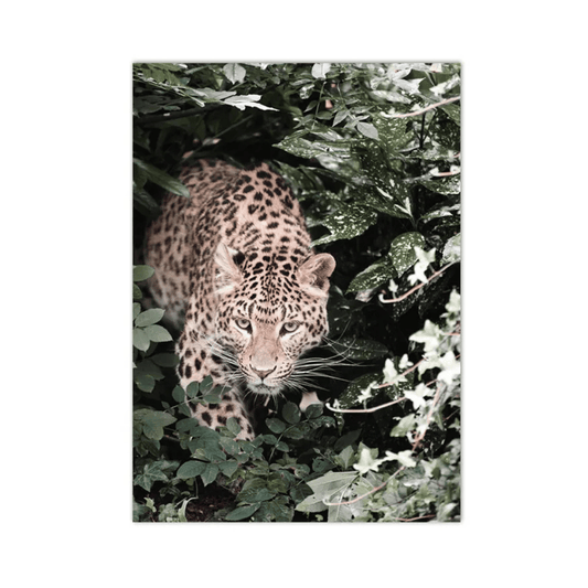Emerging From The Wild Leopard Canvas Print