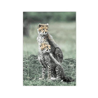 Cheetah Cubs On Watch Canvas Print