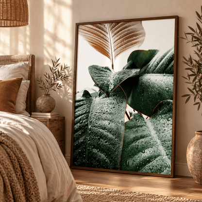 Rainwashed Rubber Plant Canvas Print