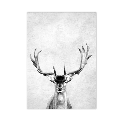 Crowned Stag Canvas Print