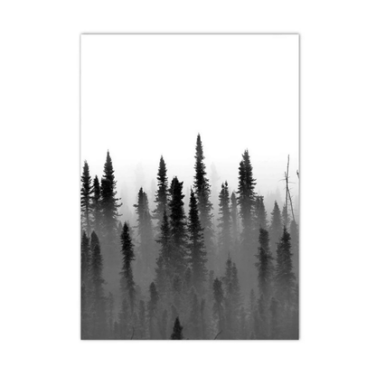 Fogbound Evergreen Forest Canvas Print