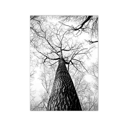 Into The Bare Canopy Canvas Print