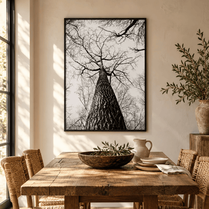 Into The Bare Canopy Canvas Print