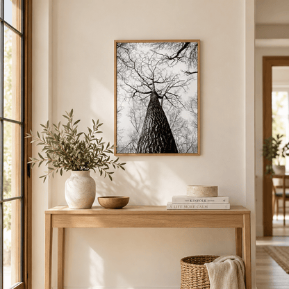 Into The Bare Canopy Canvas Print