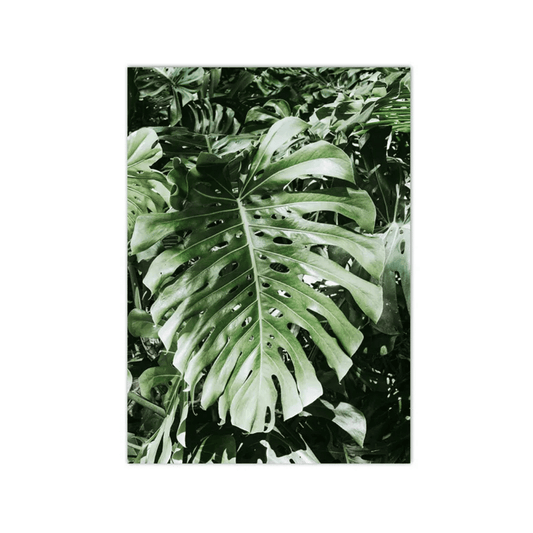 Verdant Monstera Canopy Canvas Print