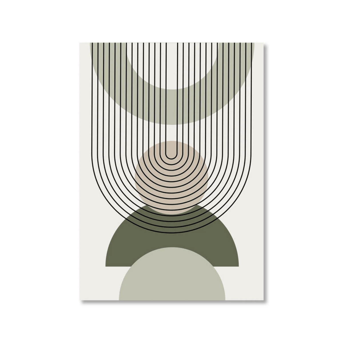 Olive Orbit Lines Canvas Print
