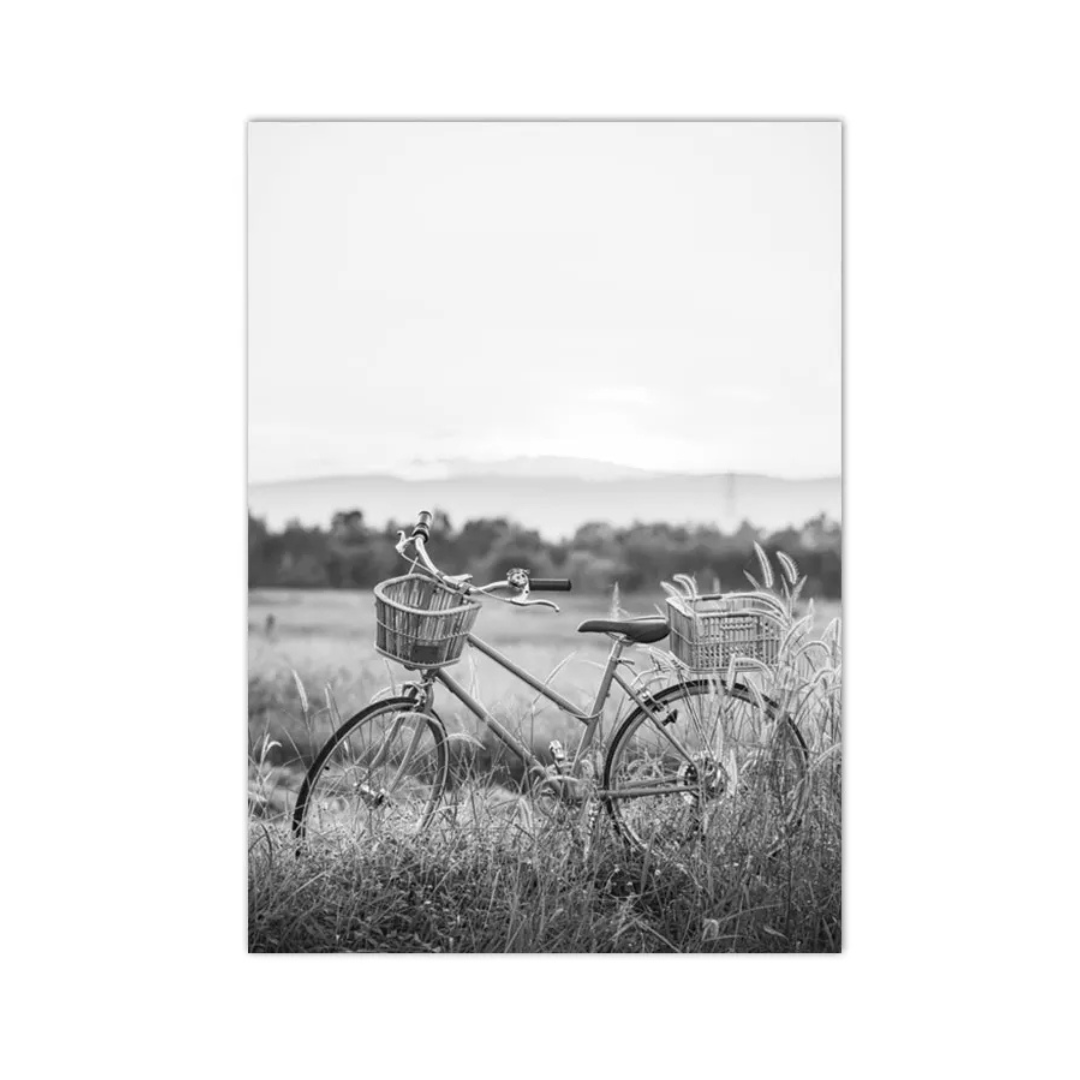 Meadow Bicycle Escape Canvas Print