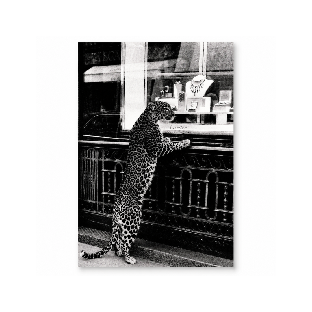 Black & White Leopard Window Shopping Canvas Print