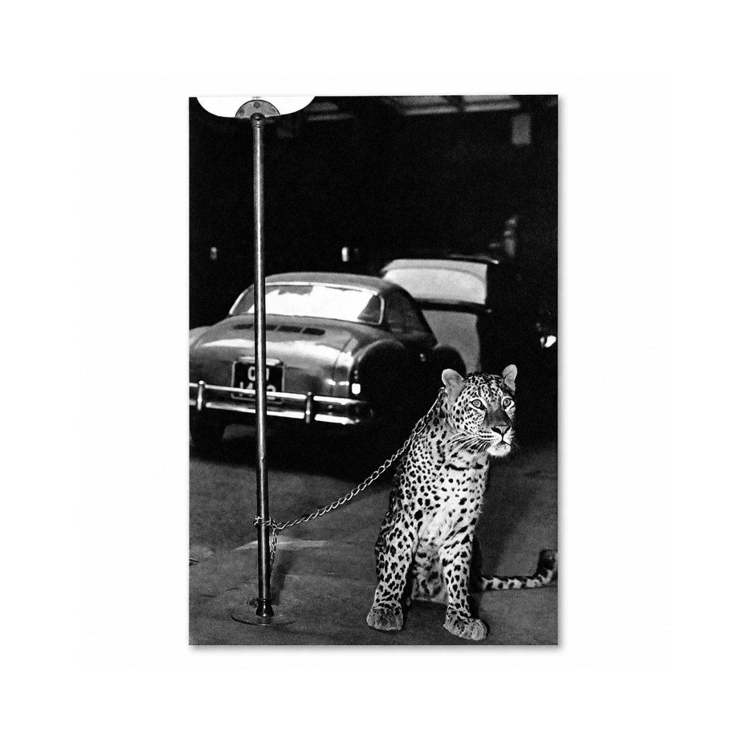Midnight Leopard & Classic Car Canvas Print