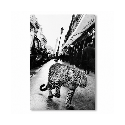 Black & White Leopard In Paris Canvas Print