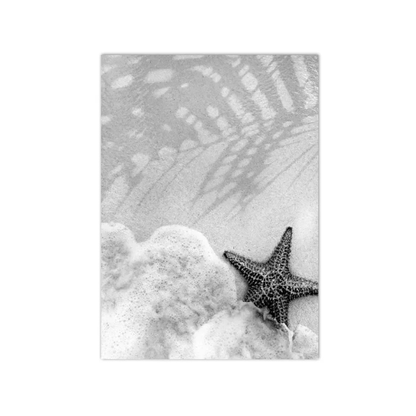 A rectangular black and white photographic print featuring a starfish resting on foamy surf, with soft shadow patterns across the top, shown against a plain white background.