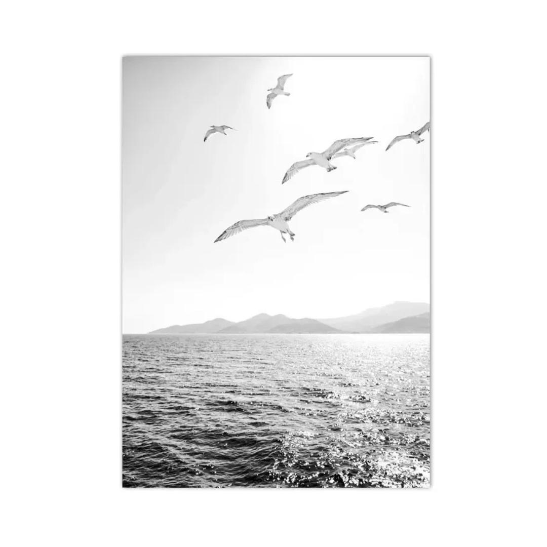 Wings Over Water Black And White Canvas Print