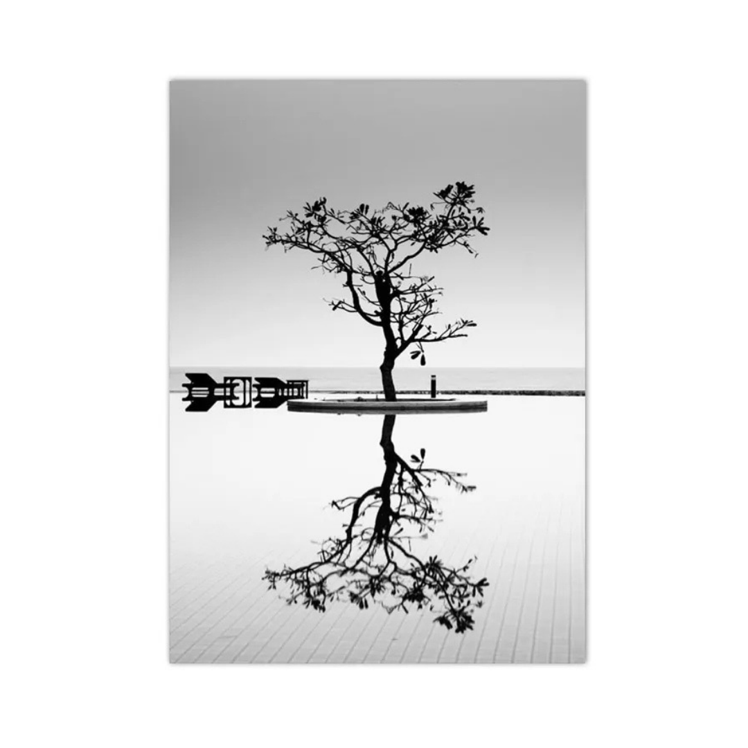 Solitary Reflection Tree Canvas Print