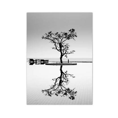 Solitary Reflection Tree Canvas Print