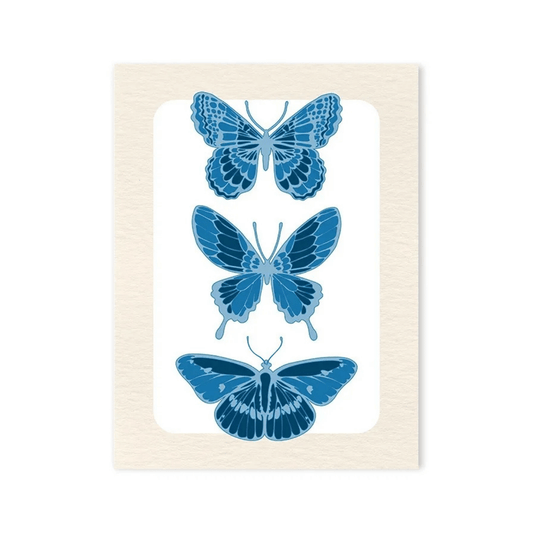Blue Butterfly Study Canvas Print