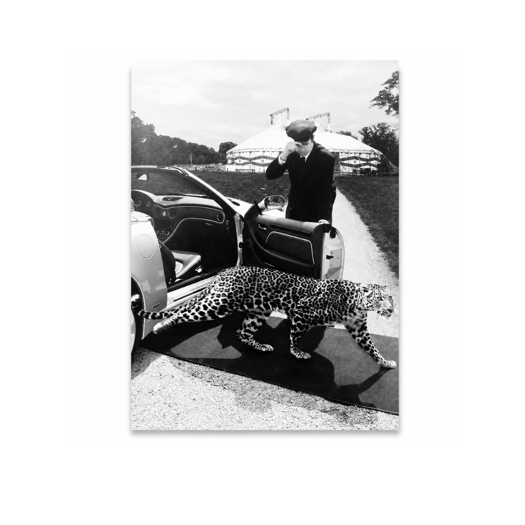Luxury Black & White Leopard Arrival Canvas Print