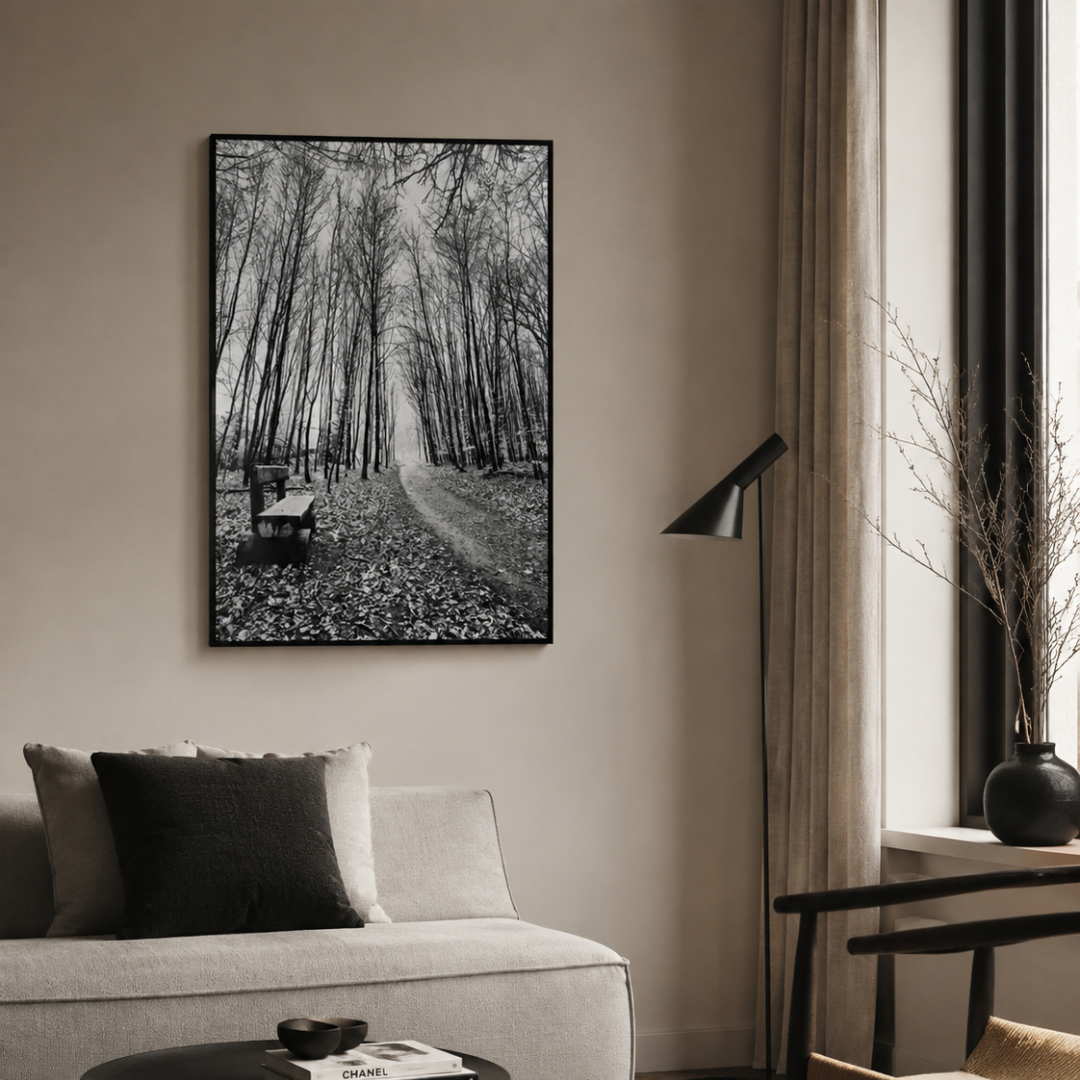 Silent Woodland Path Black & White Canvas Print