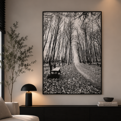 Silent Woodland Path Black & White Canvas Print
