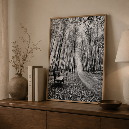 Silent Woodland Path Black & White Canvas Print