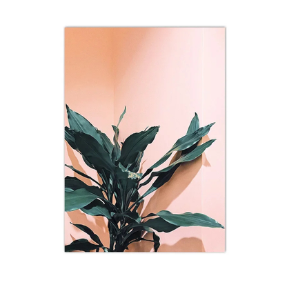 Afterglow Leaves Botanical Canvas Print