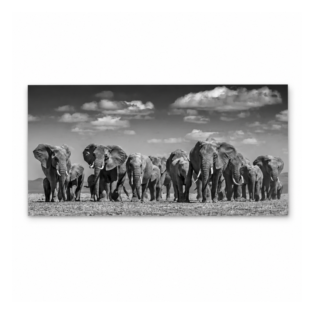 Black and white photographic print of a herd of elephants walking across an open plain under a cloudy sky, shown as a rectangular wall art piece on a white background.