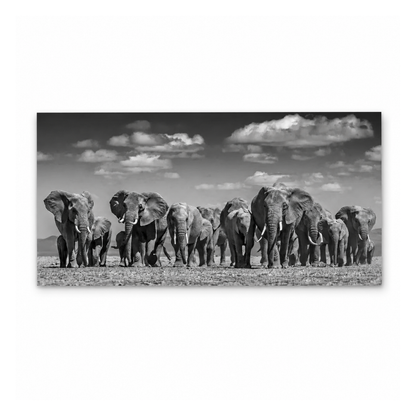 Black and white photographic print of a herd of elephants walking across an open plain under a cloudy sky, shown as a rectangular wall art piece on a white background.