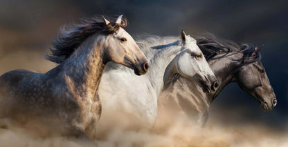 three running horses dynamic animal canvas wall art