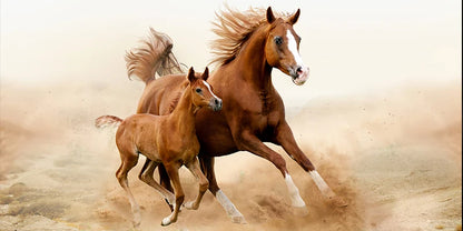 three running horses dynamic animal canvas wall art