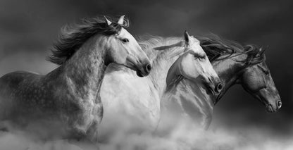 three running horses dynamic animal canvas wall art