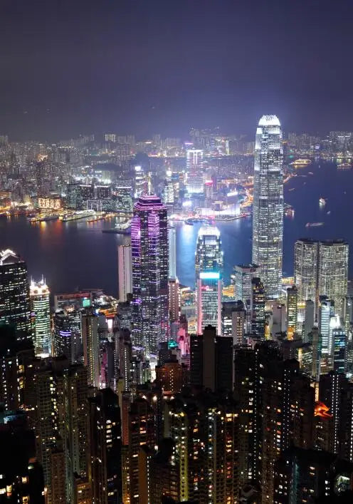 hong kong city skyline at night canvas wall art