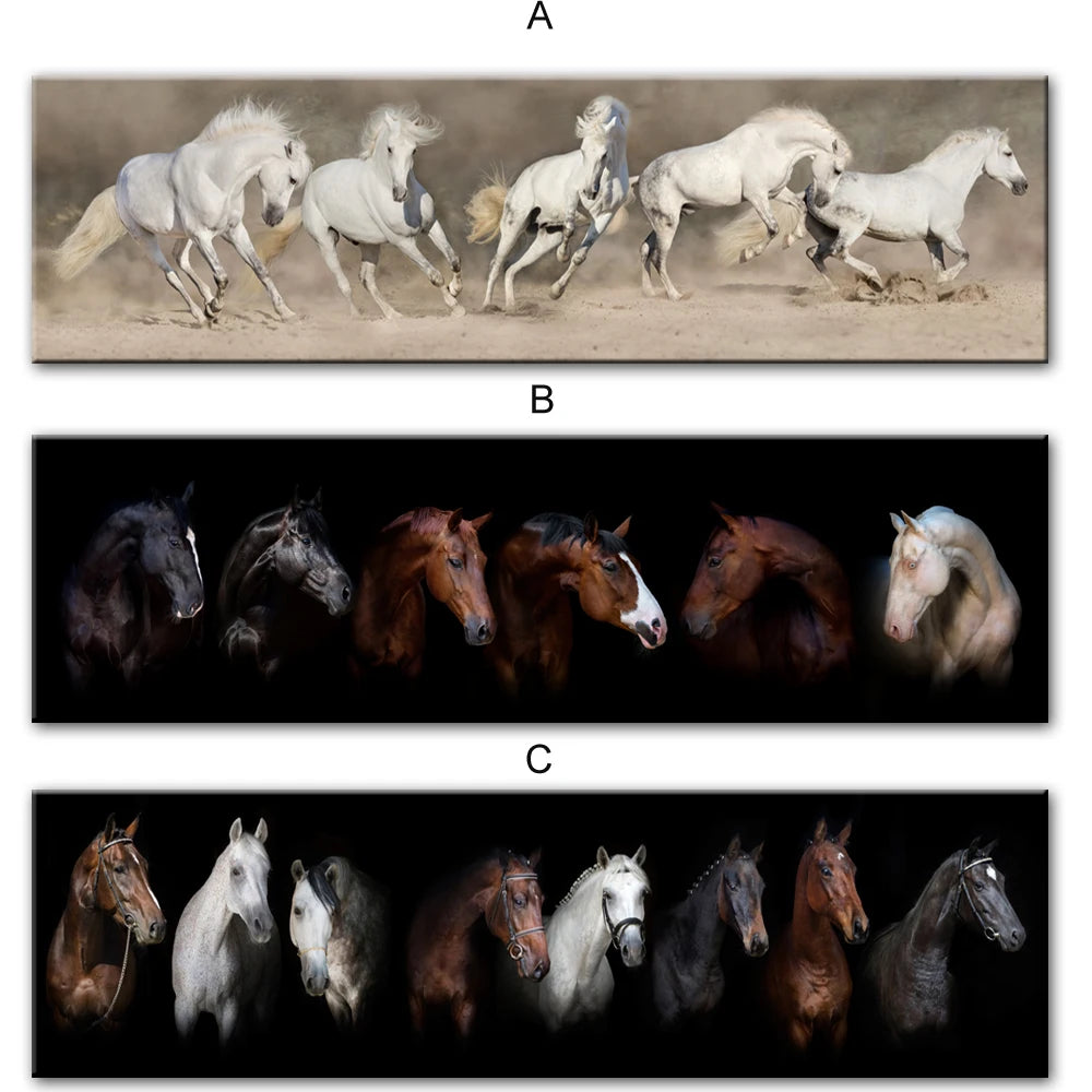 Black and White Horses Canvas Print